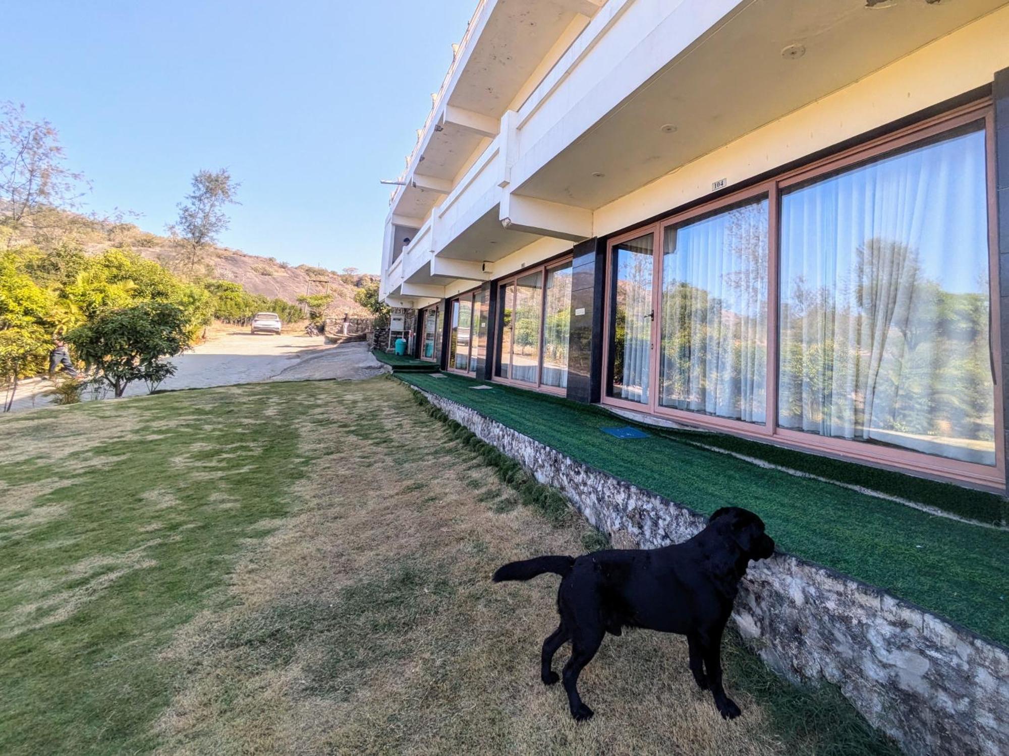 7Bhk Hill Villa Mount Âbû Extérieur photo